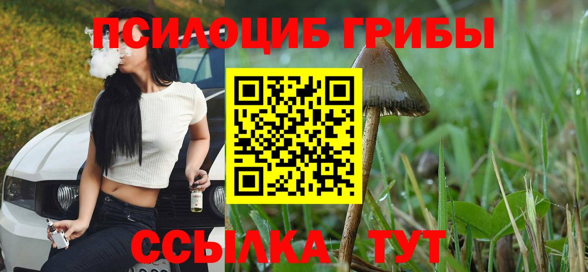 Галлюциногенные грибы GOLDEN TEACHER  Вход с VPN  Коммунар 
